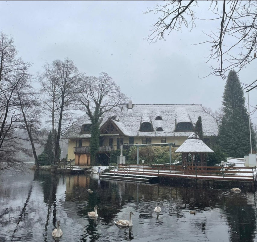 Blick über den Glubig Melang Fließ auf das leicht verschneite Fischhaus - Schwäne schwimmen auf dem Glubig Melang Fließ