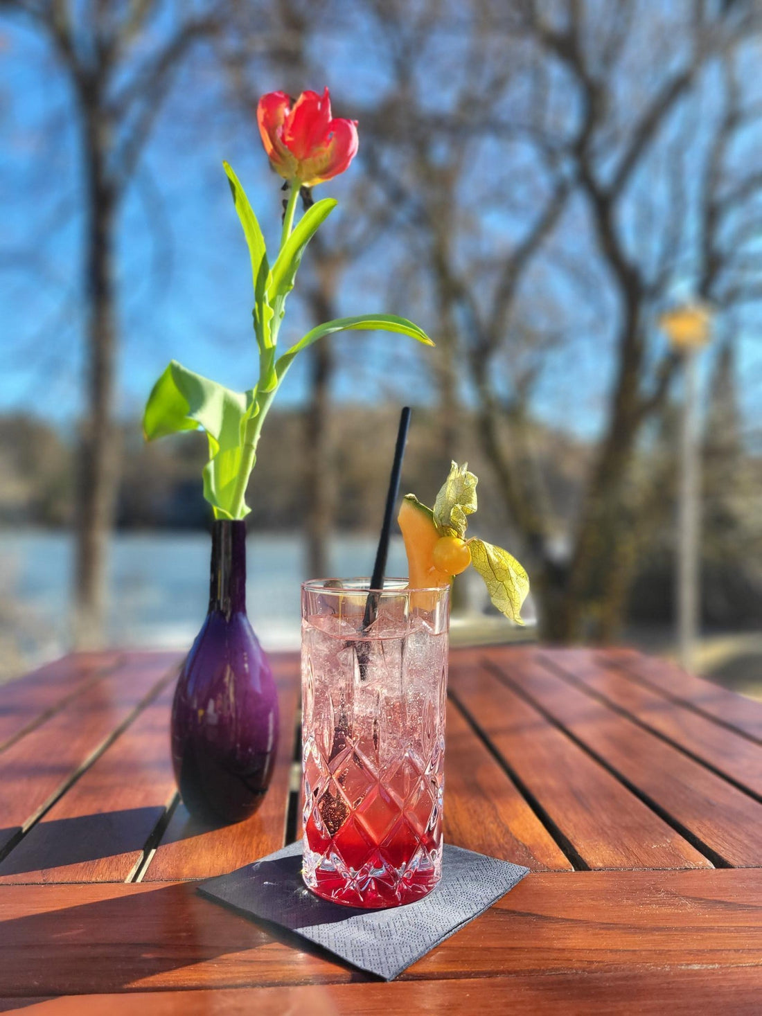 Erdbeer Gin Fizz