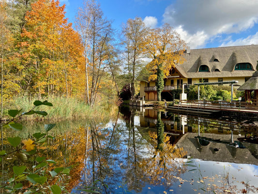 Mittwochs im November....