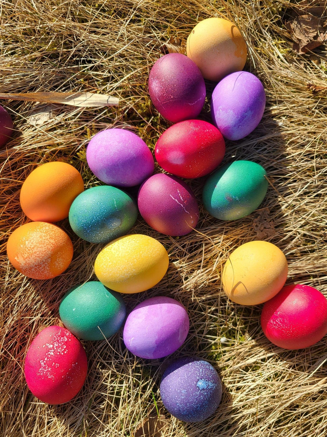 Ostern im Fischhaus