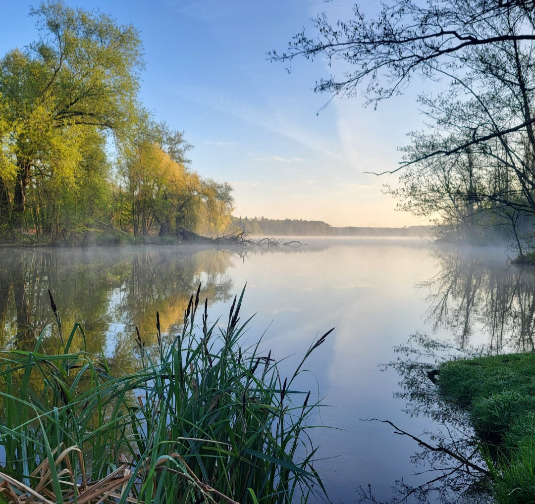 Kajaks mieten im Fischhaus