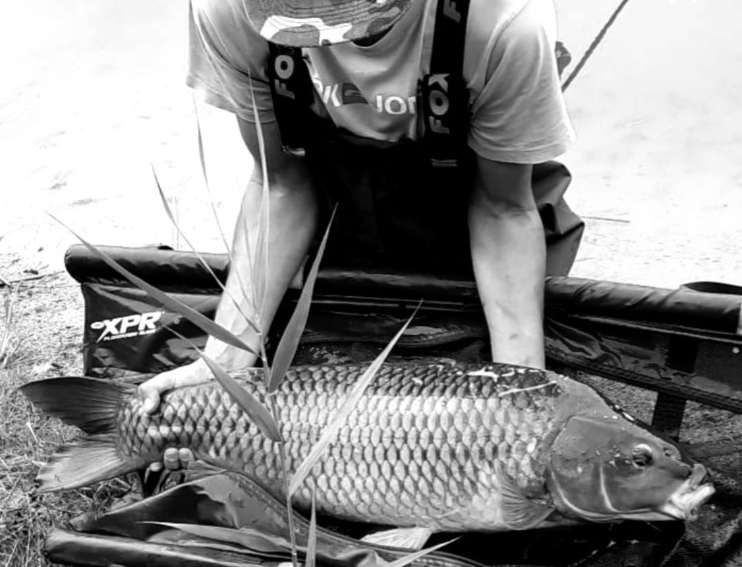 Weihnachts-, Silvester- & Neujahrskarpfen tagesfrisch