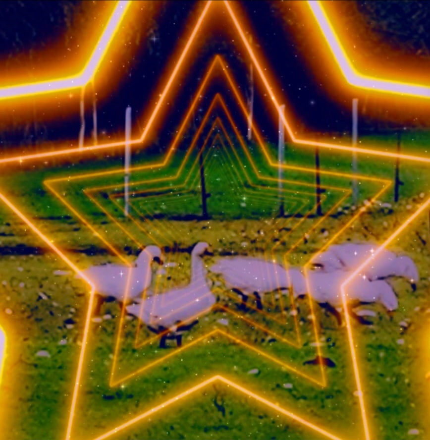 Weihnachtsgans to go.... 1.12.-26.12.2024