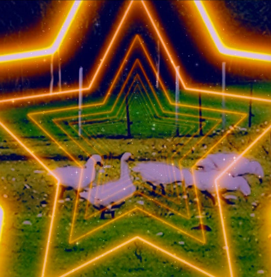 Weihnachtsgans to go.... 1.12.-26.12.2024